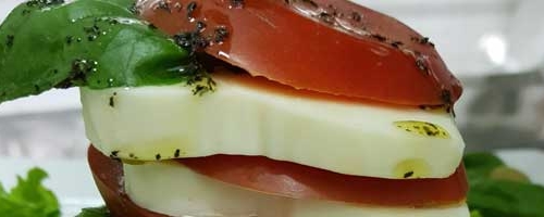 CAPRESE SIR MOZZARELLA, RAJČICA, MASLINOVO ULJE, BOSILJAK